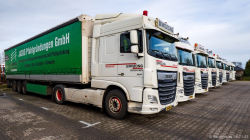 20251129-Lewiszong-00037